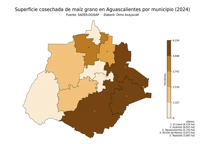 Superficie cosechada de maíz en Aguascalientes por municipio