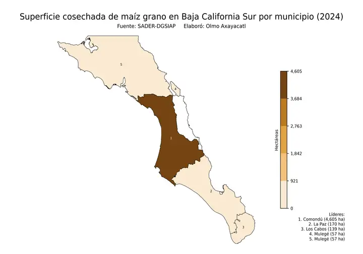 Superficie cosechada de maíz en Baja California Sur por municipio