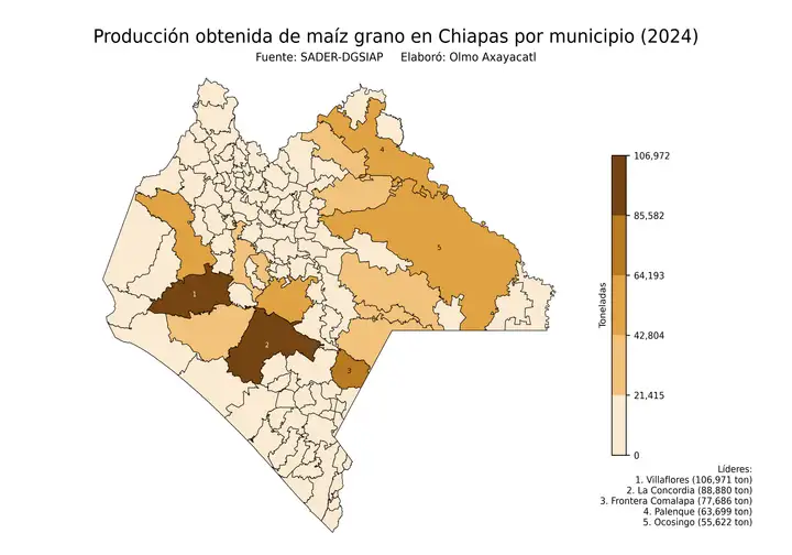 Producción obtenida de maíz en Chiapas por municipio