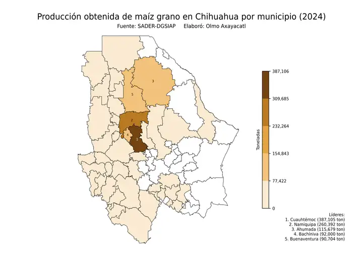 Producción obtenida de maíz en Chihuahua por municipio