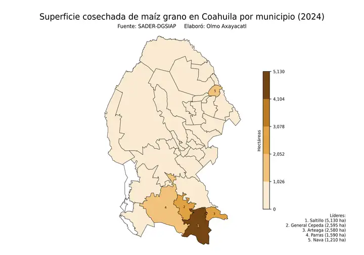 Superficie cosechada de maíz en Coahuila por municipio