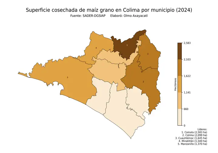 Superficie cosechada de maíz en Colima por municipio