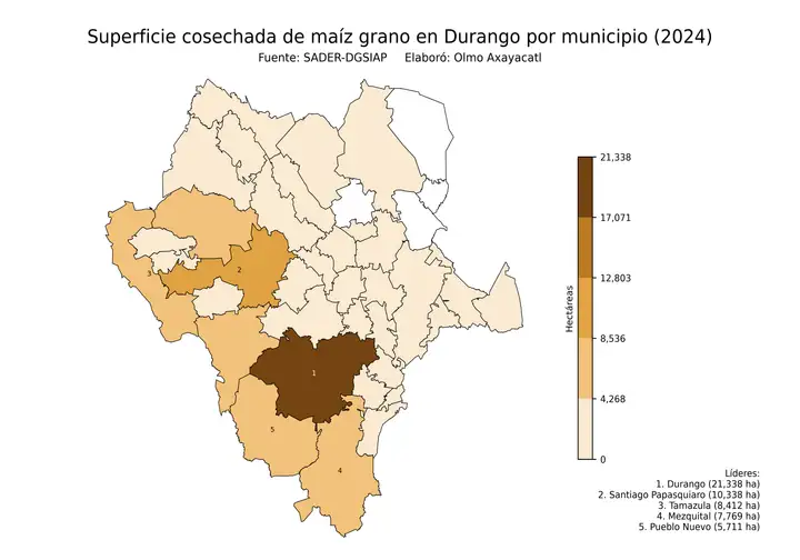 Superficie cosechada de maíz en Durango por municipio