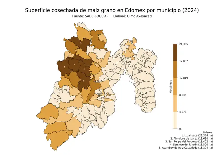 Superficie cosechada de maíz en Estado de México por municipio