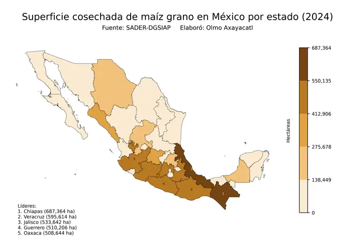 Superficie cosechada de maíz en México por estado