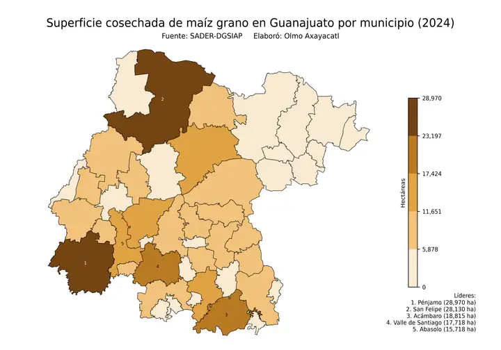 Superficie cosechada de maíz en Guanajuato por municipio
