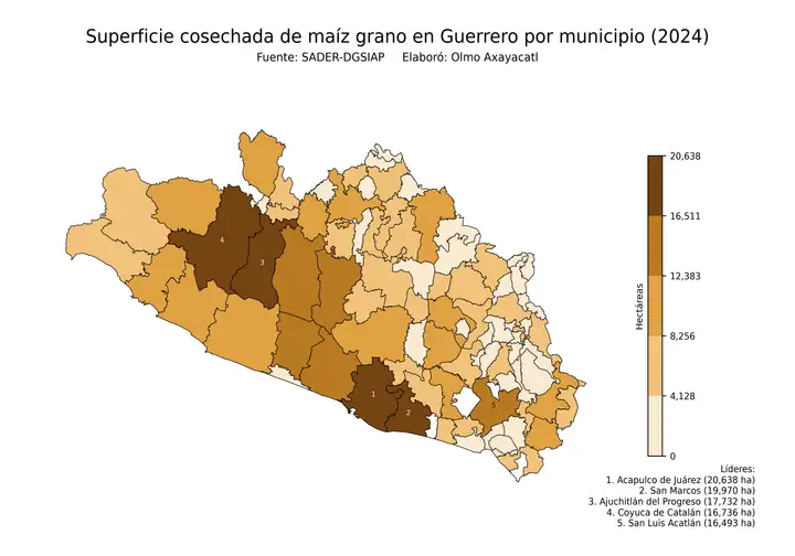 Superficie cosechada de maíz en Guerrero por municipio
