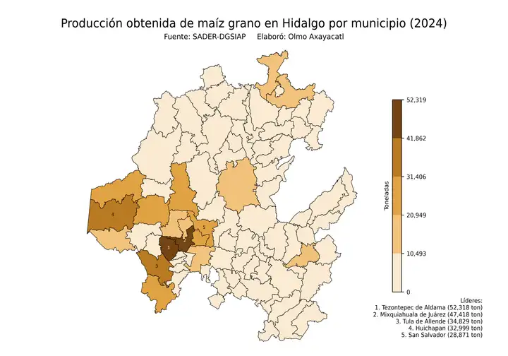 Producción obtenida de maíz en Hidalgo por municipio