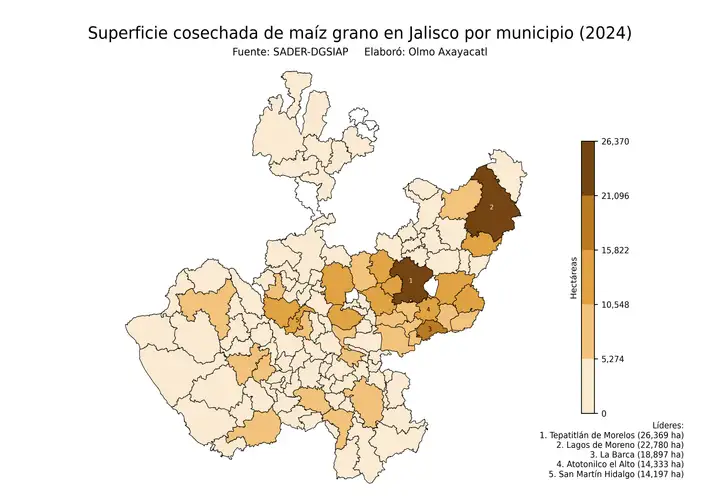 Superficie cosechada de maíz en Jalisco por municipio