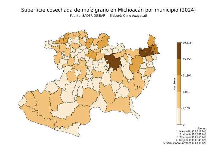 Superficie cosechada de maíz en Michoacán por municipio