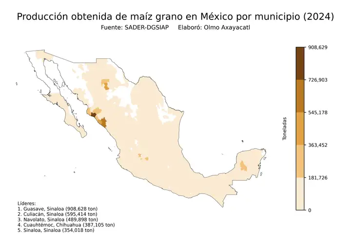 Producción obtenida de maíz en México por municipio