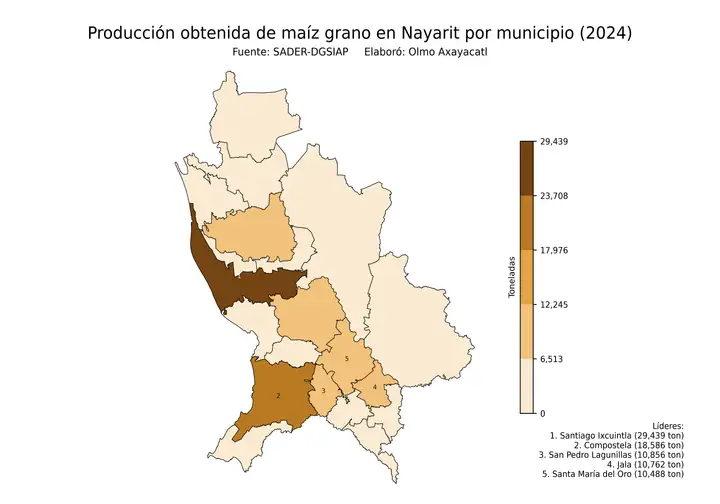 Producción obtenida de maíz en Nayarit por municipio