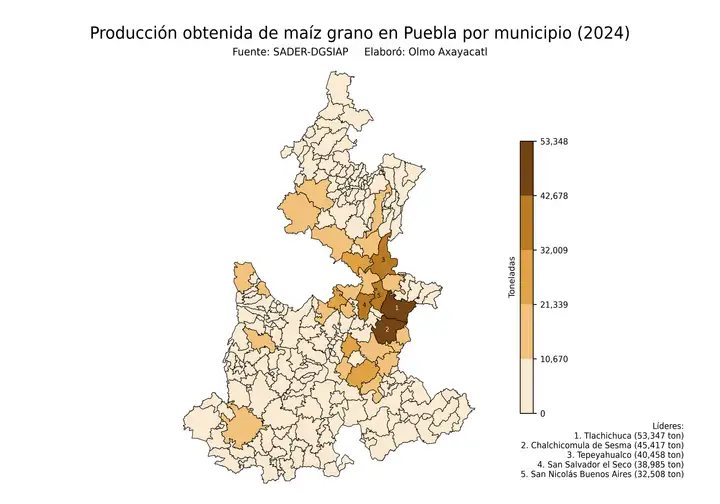 Producción obtenida de maíz en Puebla por municipio
