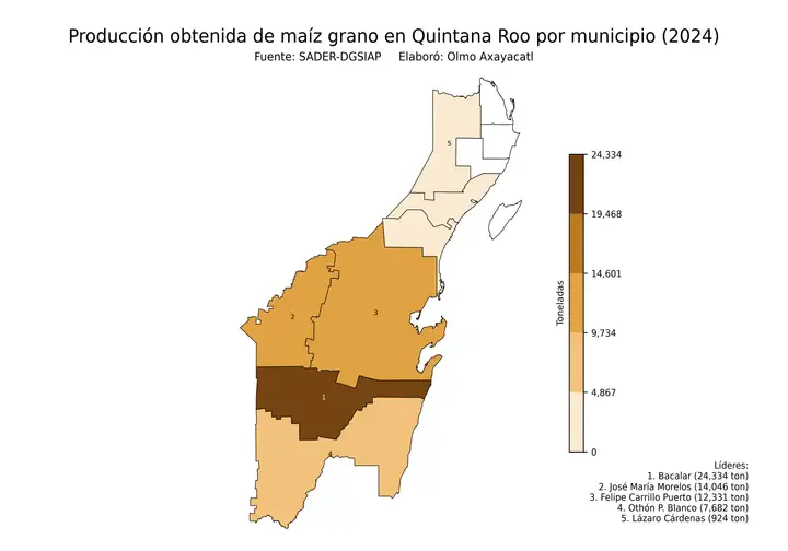 Producción obtenida de maíz en Quintana Roo por municipio