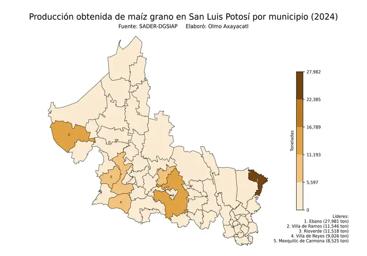 Producción obtenida de maíz en San Luis Potosí por municipio