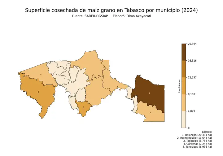 Superficie cosechada de maíz en Tabasco por municipio