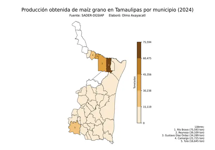 Producción obtenida de maíz en Tamaulipas por municipio