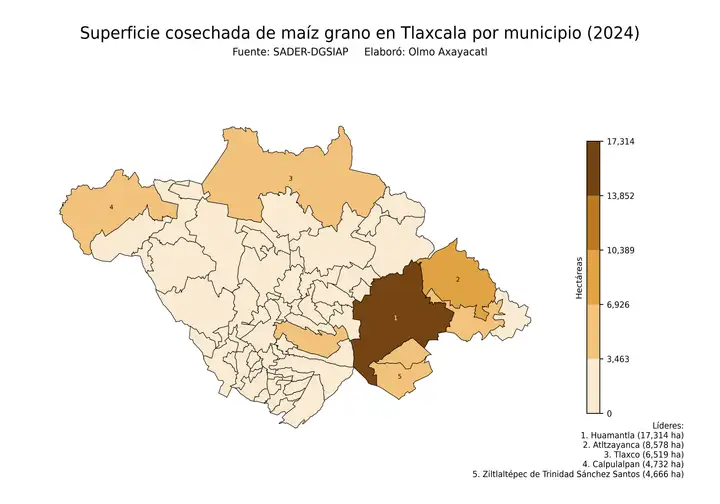 Superficie cosechada de maíz en Tlaxcala por municipio