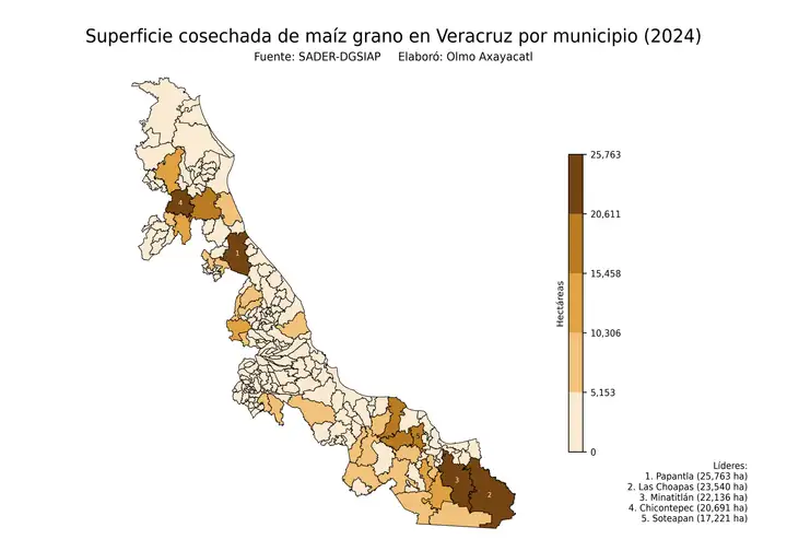 Superficie cosechada de maíz en Veracruz por municipio