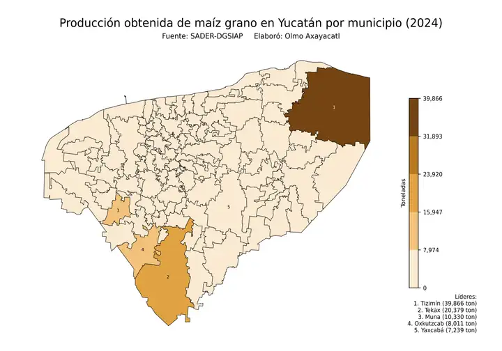 Producción obtenida de maíz en Yucatán por municipio