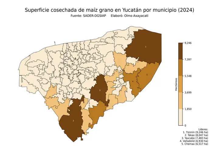 Superficie cosechada de maíz en Yucatán por municipio