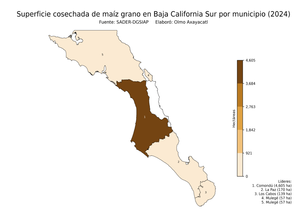 México Producción Agrícola Maíz grano Baja California Sur (superficie cosechada)