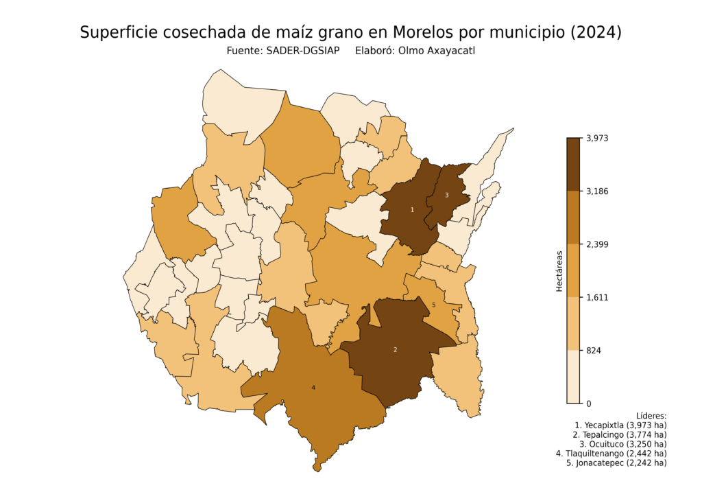 México Producción Agrícola Maíz grano Morelos (superficie cosechada)