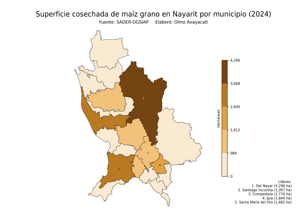 México Producción Agrícola Maíz grano Nayarit (superficie cosechada)