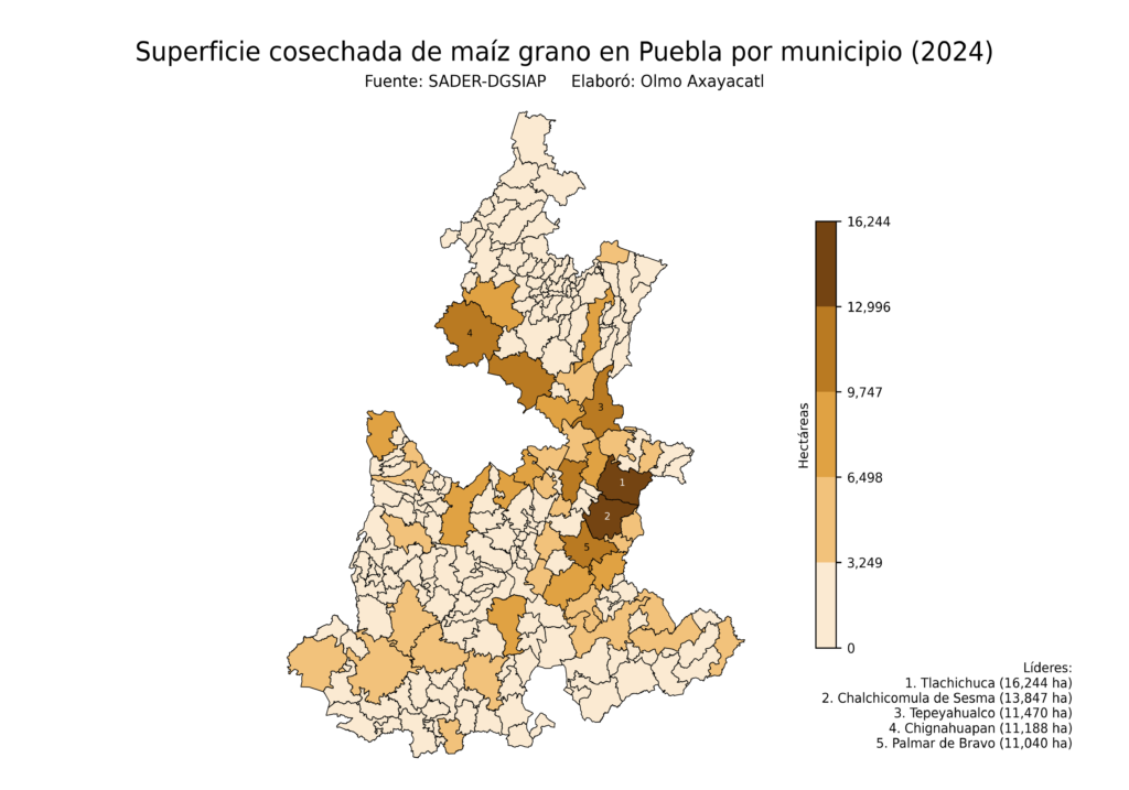 México Producción Agrícola Maíz grano Puebla (superficie cosechada)