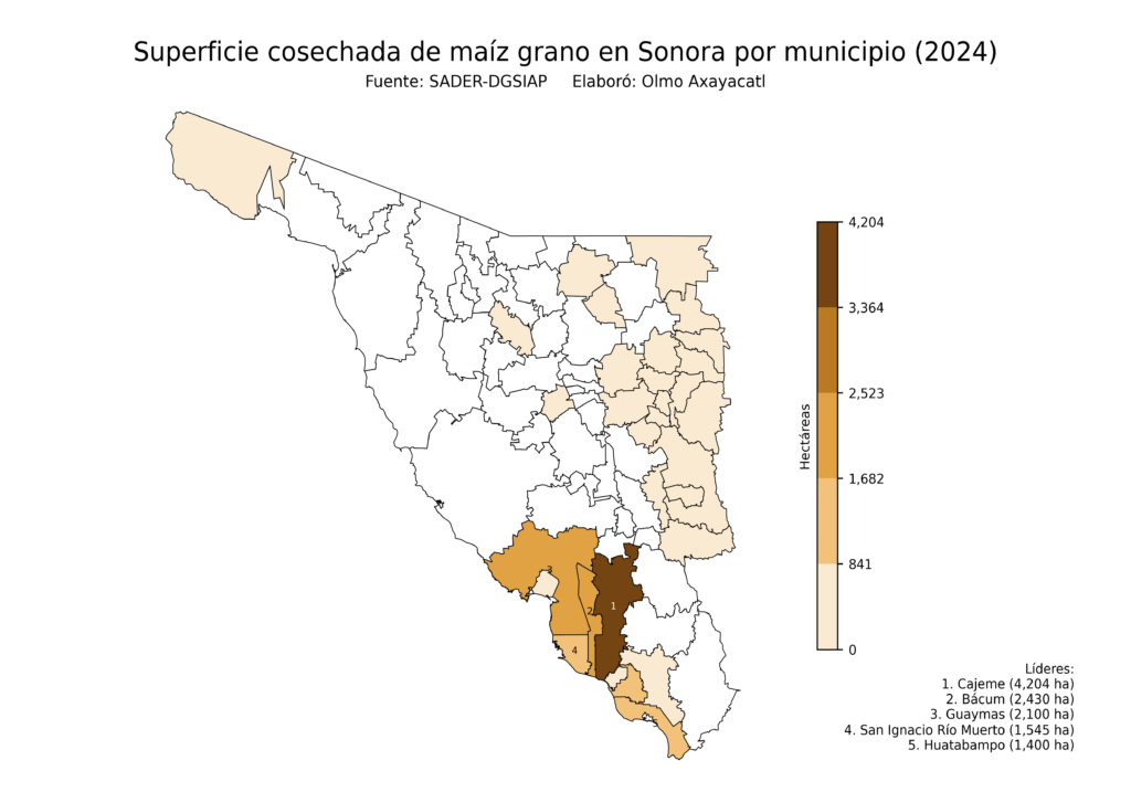 México Producción Agrícola Maíz grano Sonora (superficie cosechada)