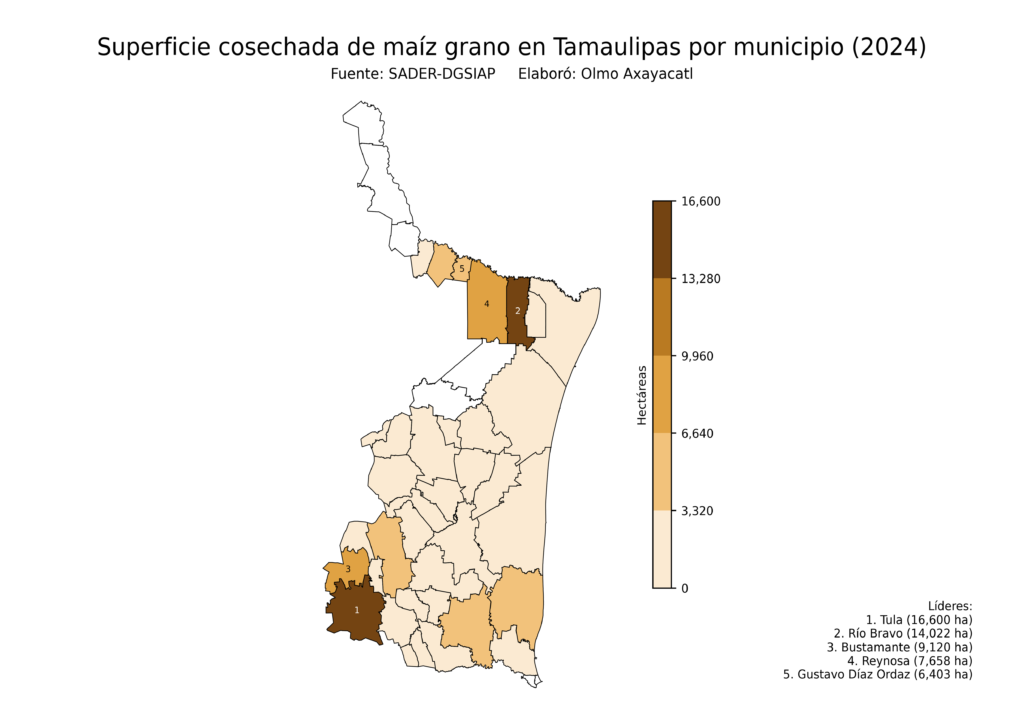 México Producción Agrícola Maíz grano Tamaulipas (superficie cosechada)