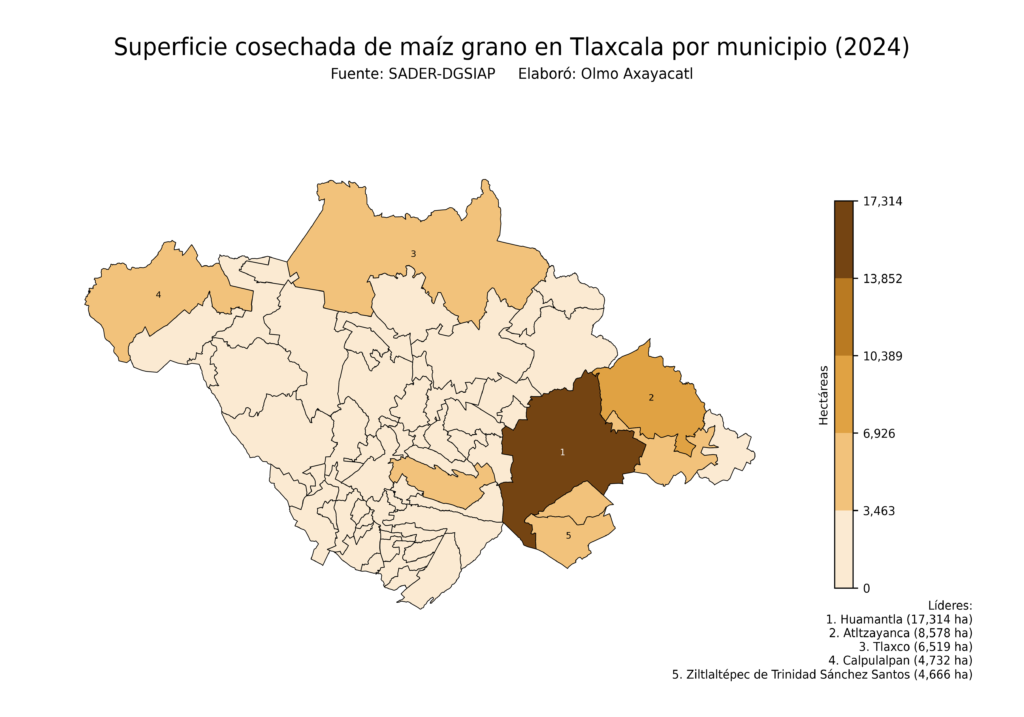 México Producción Agrícola Maíz grano Tlaxcala (superficie cosechada)