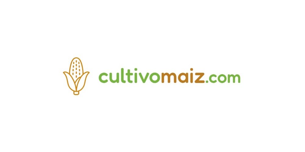 Curiosidades diversas sobre el cultivo de maíz